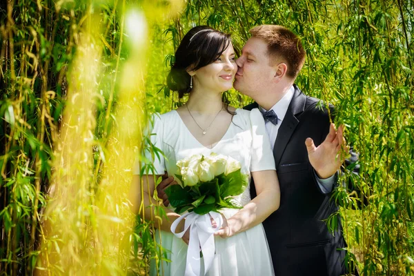 Boldog esküvői pár csók a zöld parkban — Stock Fotó