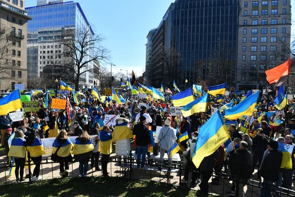 Washington Usa Február 2022 Ukrán Állampolgárok Tiltakoznak Washington Ben Fehér — ingyenes stock fotók