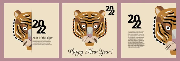 Κινέζικη Πρωτοχρονιά 2022 Τίγρη Simbol Της Χρονιάς Διάνυσμα Σύνολο Απεικονίσεων — Διανυσματικό Αρχείο