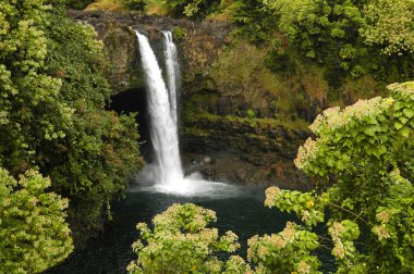 Rainbow, hilo hawaii düşüyor