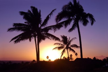 tropikal hawaiian günbatımı