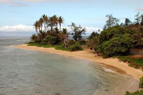 Murphys plaży molokai Hawaje — Zdjęcie stockowe