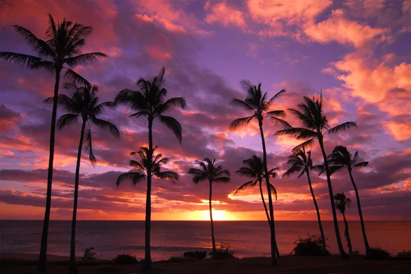 Hawaiian Sunset Molokai Hawaii — Stock Photo, Image