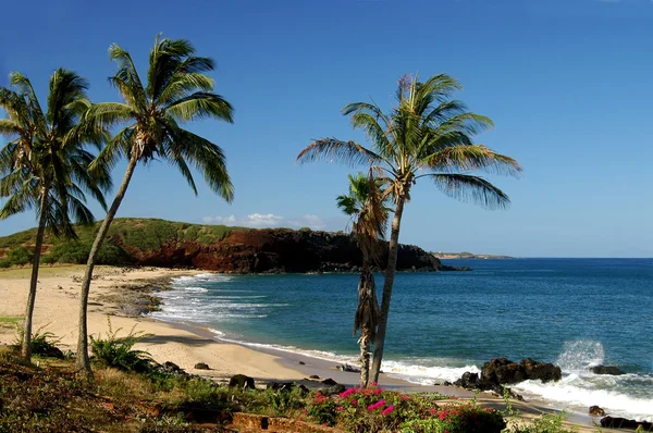 Kepuhi Bay Molokai Hawaii Royaltyfria Stockfoton