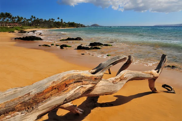 Mokapu beach park, maui, hawaii Stockbild