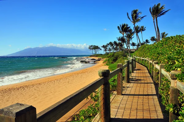 Μονοπάτι παραλία Wailea, maui Χαβάη Εικόνα Αρχείου