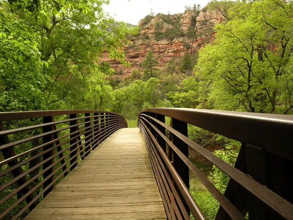 Pont du canyon d'Oak Creek Photo De Stock