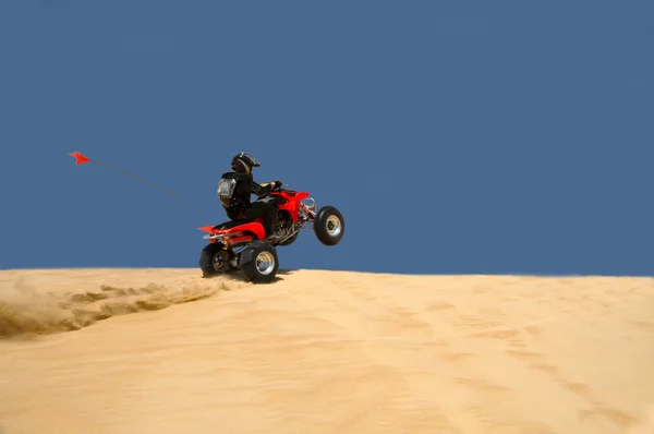 Bir wheelie çekerek atv binici — Stok fotoğraf