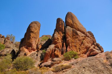 Pinnacles Milli Parkı ayı gulch iz