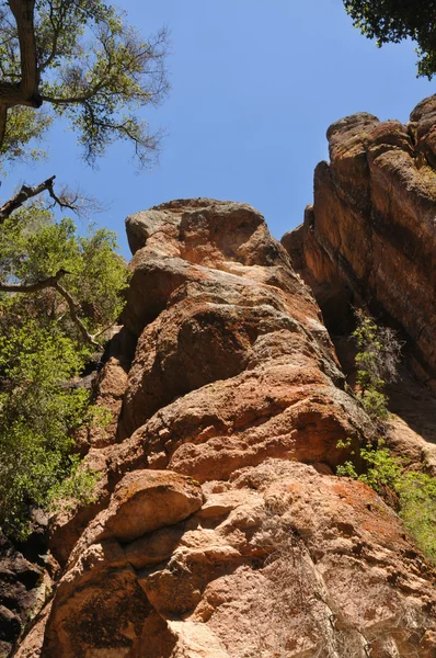 Pinnacles національного парку ведмідь Gulch стежка — стокове фото