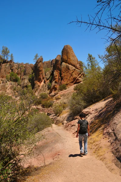 Εθνικό πάρκο pinnacles αρκούδα gulch μονοπάτι — Φωτογραφία Αρχείου