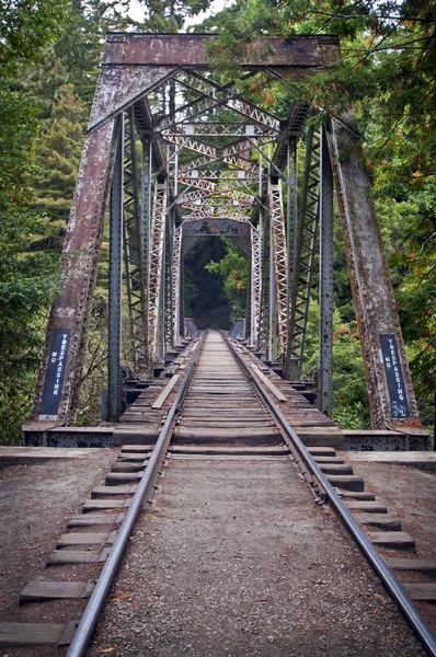 Old Train Bridge — Stock Photo, Image