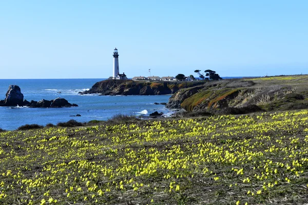 Pigeon Point Lighthouse — Stock Photo, Image