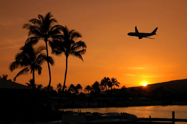 Vola in un tramonto hawaiano — Foto Stock