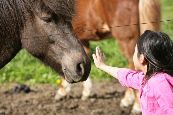 Fille avec cheval — Photo