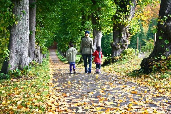 Family walk in the forest — Stock Photo, Image