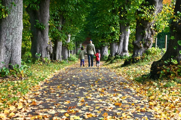 Orman ailesi yürüyüş