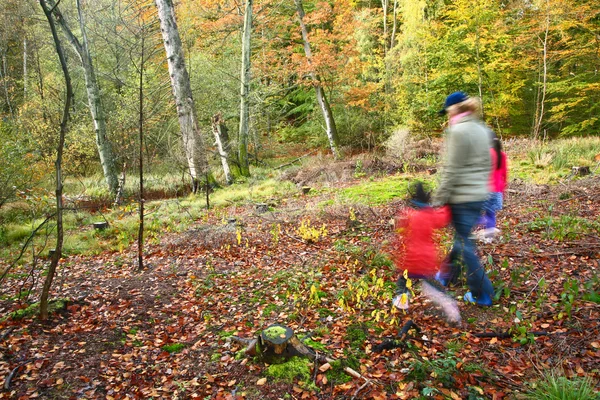 Familjen promenad i skogen — Stockfoto