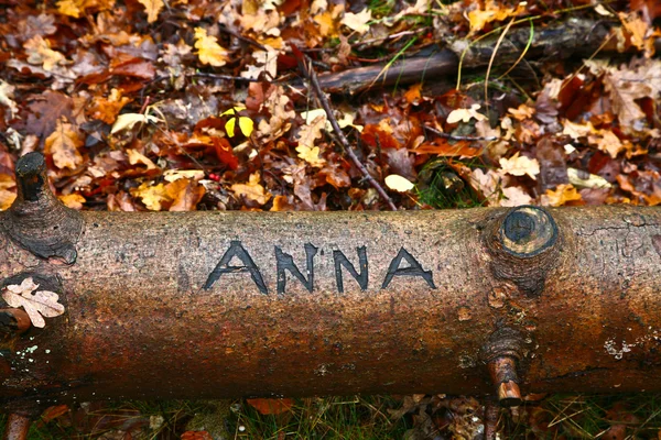 Nombre arañado en un árbol —  Fotos de Stock