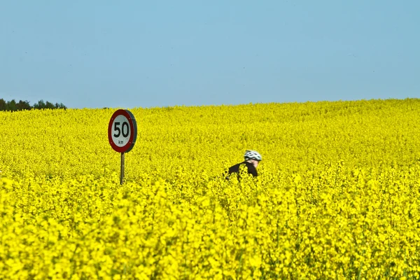 Дорожный знак и человек в поле — стоковое фото