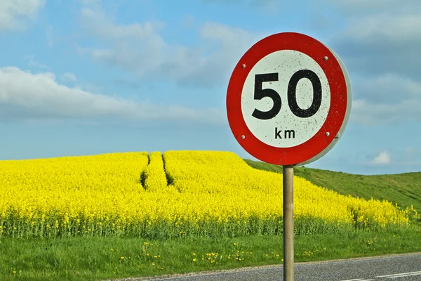 Road sign near the yellow rapse field — Stock Photo, Image