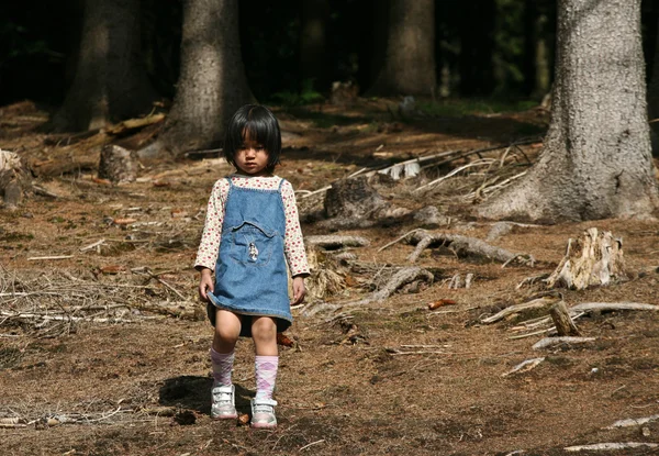 Κοριτσάκι στο ξύλο — Φωτογραφία Αρχείου