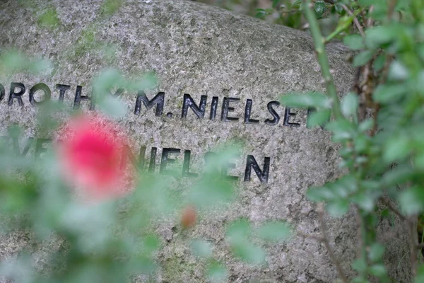 Cemetary — Stock Photo, Image