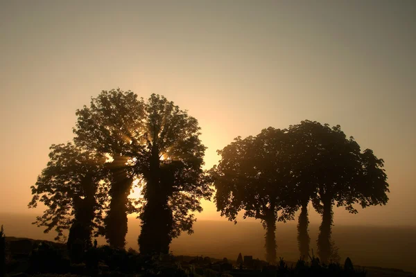 Grenar morgon — Stockfoto