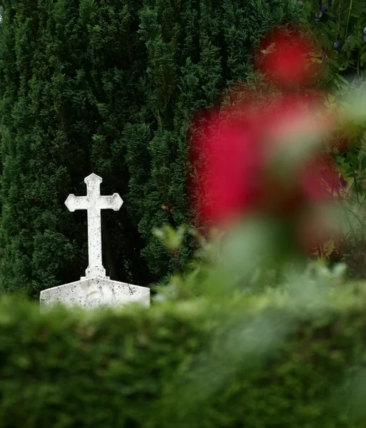 Cemetary — Stock Photo, Image