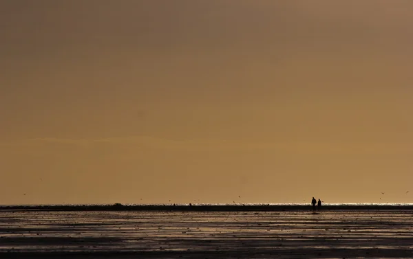 Mensen lopen op het strand eiland van fanoe in Denemarken — Stockfoto