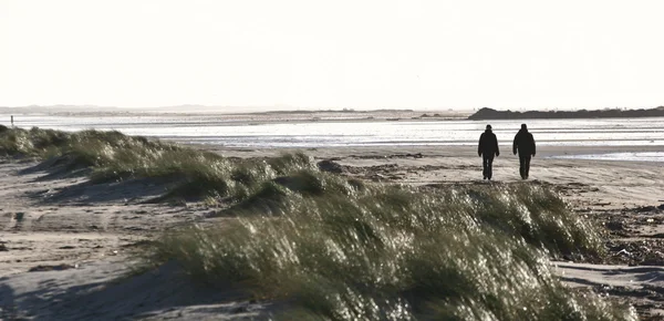 People walking on the beach Island of Fanoe in Denmark — Stock Photo, Image