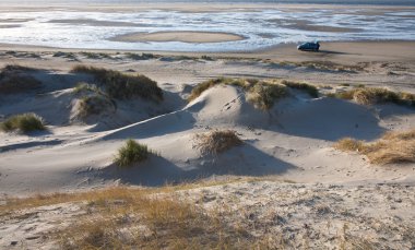 Dunes fronting the beach. Island of Fanoe in Denmark clipart