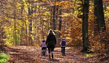 sonbahar orman pople