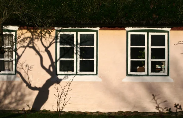 Detalhe de janela e sombra de árvore em uma parede de uma ilha de casa de Fano — Fotografia de Stock