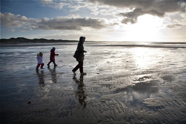 Mensen op zoek naar amber op het strand van het eiland van fanoe in — Stockfoto