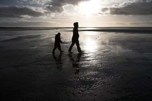 Les personnes à la recherche d'ambre sur la plage de l'île de Fanoe à — Photo