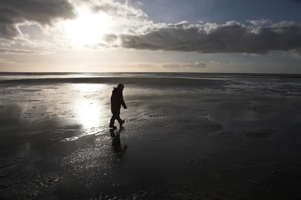 Люди ищут янтарь на пляже острова Фаноэ в — стоковое фото