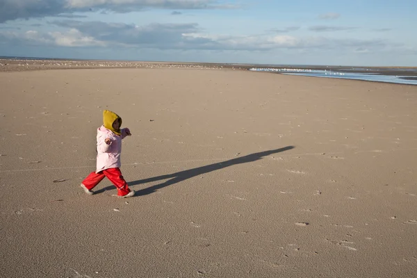 Enfant à la recherche d'ambre sur la plage de l'île de Fanoe en D — Photo