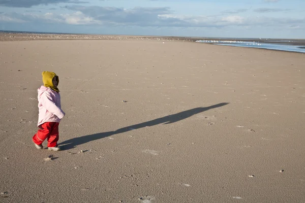 Dziecko szuka bursztynu na plaży na wyspie fanoe w d — Zdjęcie stockowe