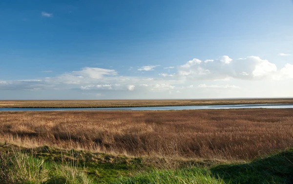 Landscape over the reeds. Island of Fanoe in Denmark — Stock Photo, Image