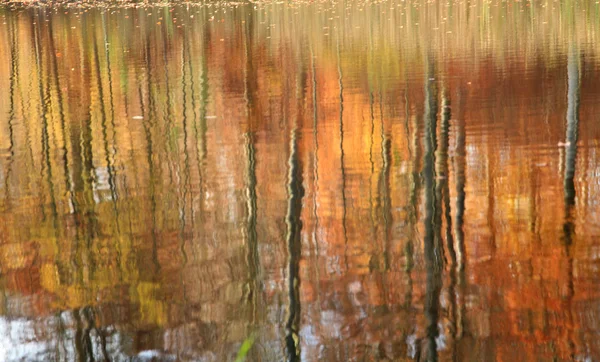 Herbstliche Waldspiegelung — Stockfoto