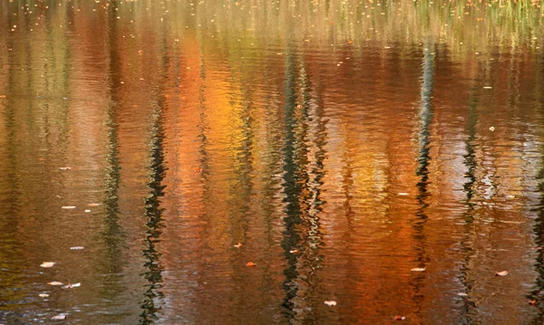 Reflexión del bosque otoñal — Foto de Stock
