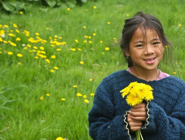 Flickor plockande upp blommor i ett fält — Stockfoto