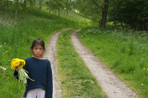 Dziewczyny, zbierając kwiaty w polu — Zdjęcie stockowe