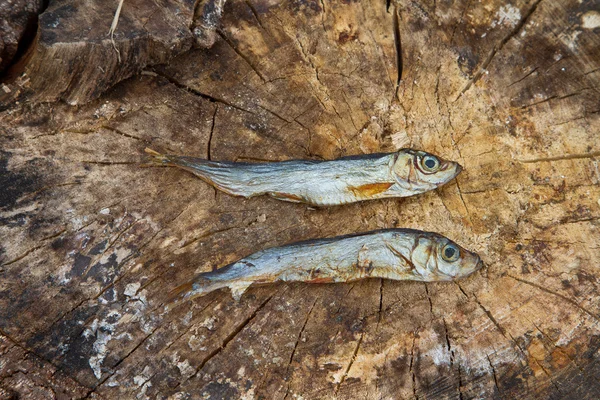 Dos pequeños peces secos sobre madera — Foto de Stock