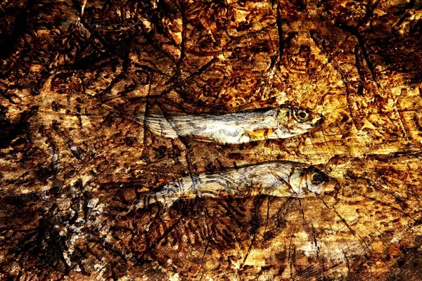 Δύο μικρά αποξηραμένα ψάρια σε ξύλο — Φωτογραφία Αρχείου