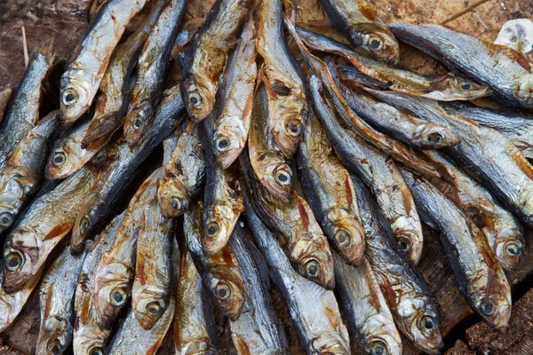 Trockenfisch — Stockfoto