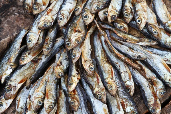 Ikan kering — Stok Foto