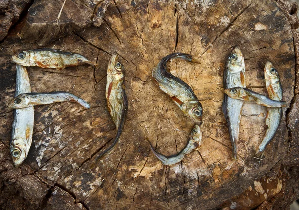 Pequeños peces secos que forman la palabra pescado — Foto de Stock