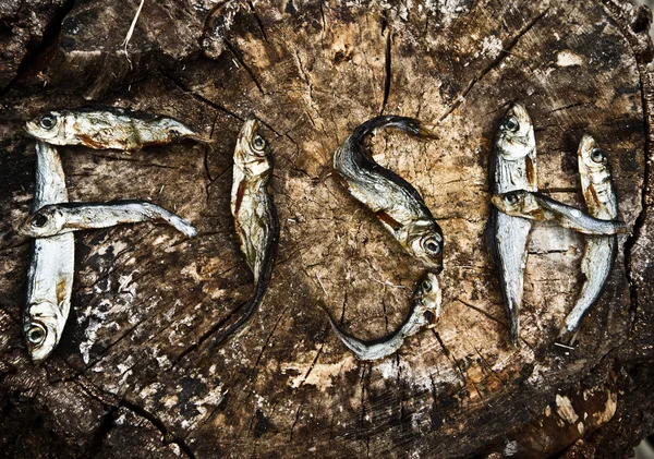 Små torkade fiskar bildar ordet fisk — Stockfoto